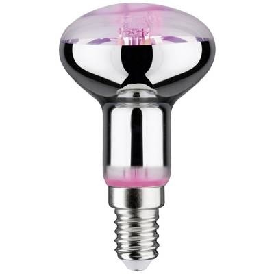 LED-Pflanzenlampe E14 R50 4W