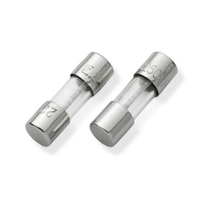 Littelfuse 02301.25MRT1SSP 02301.25MRT1SSP Sicherung 250 V Inhalt 1 St. Tape on Full reel