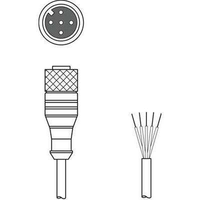 Leuze Electronic 50132080 Anschlussleitung 1 St.