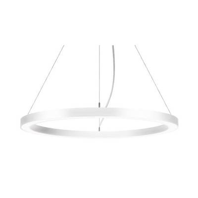 BRUMBERG Biro Circle Ring 3,5 direkt 45cm DALI weiß 4000 K