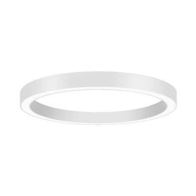 BRUMBERG Biro Circle Ring Decke, Ø 60cm, DALI, weiß, 830