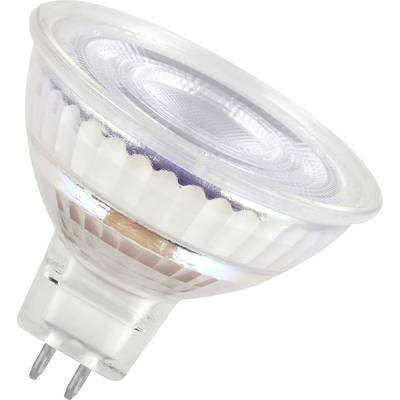 OSRAM 4099854334337 LED EEK F (A - G) GU5.3 3.8 W = 35 W Warmweiß (Ø x H) 50 mm x 50 mm 5 St.