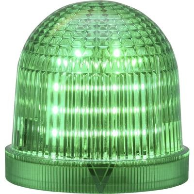 Signalleuchte LED Auer Signalgeräte AUER Grün Dauerlicht, Blinklicht 230 V/AC