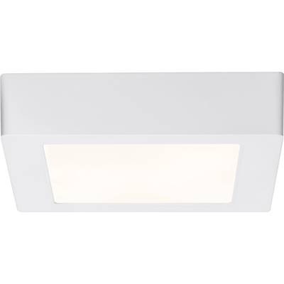 Paulmann Lunar 706.44 LED-Panel EEK: LED (A++ - E) 11 W Warm-Weiß Weiß (matt)
