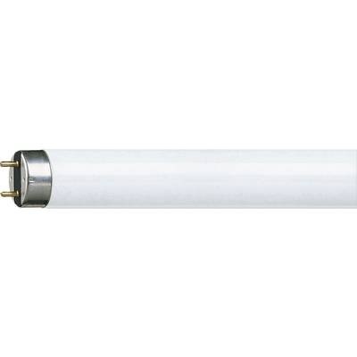 Philips Lighting Leuchtstoffröhre EEK: A (A++ - E) G13 36 W Kalt-Weiß Röhrenform (Ø x L) 28 mm x 1213.6 mm dimmbar 1