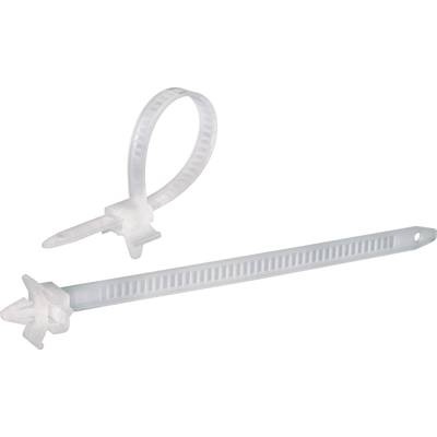 TRU COMPONENTS 1592899 TC-PHV150203 Kabelbinder 150 mm Natur mit Spreizanker 100 St.