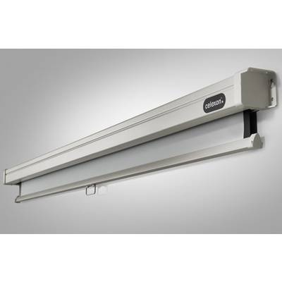 Celexon Rollo Professional 1090048 Rolloleinwand 290 x 290 cm Bildformat: 1:1