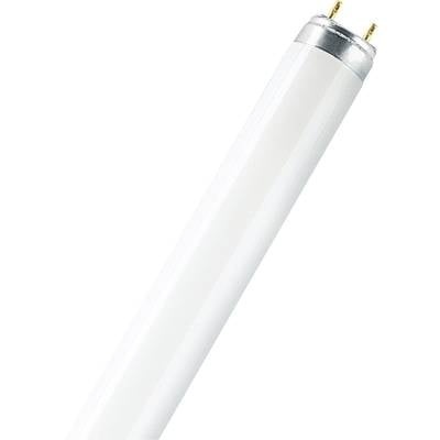 OSRAM Leuchtstoffröhre EEK: A (A++ - E) G13 58 W Warm-Weiß Röhrenform (Ø x L) 26 mm x 1500 mm 1 St.