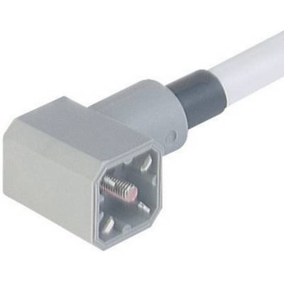 Leitungsstecker mit angespritzter Leitung Grau G 30 KW M Pole:3 + PE Hirschmann Inhalt: 1 St.