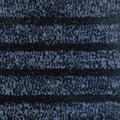 Schmutzfangmatte mit Borsten LxB 1500 x 900 mm blau gestreift