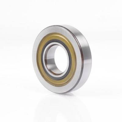 INA Laufrolle LR205-2RSR