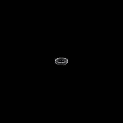 ifm Electronic E43339 O-Ring E43339 1 St.