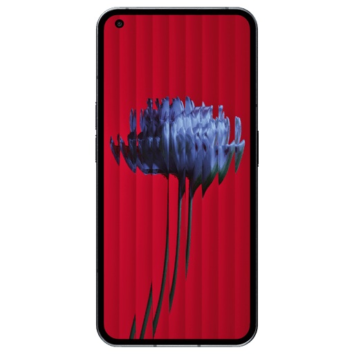 NOTHING phone (1) - Smartphone (6.55 