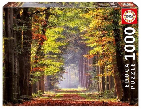 Herbstweg durch Wald (Puzzle)