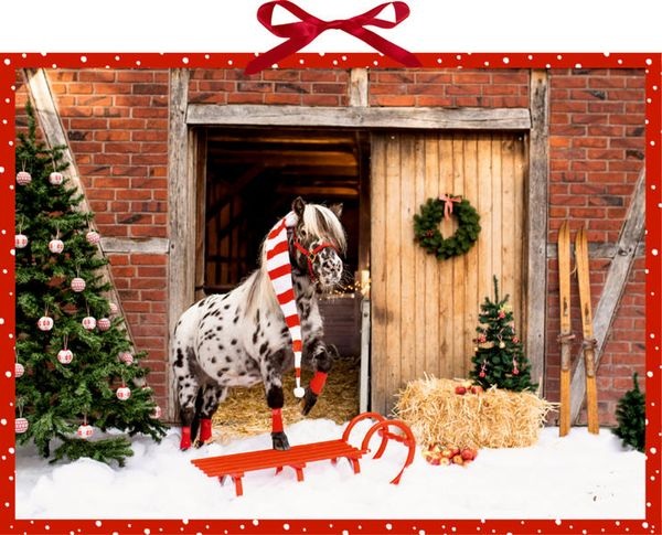 Wandkalender - Dotti feiert Weihnachten