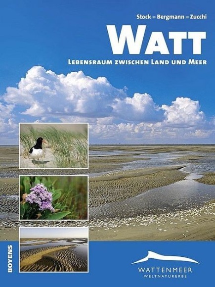 Watt - Lebensraum zwischen Land und Meer