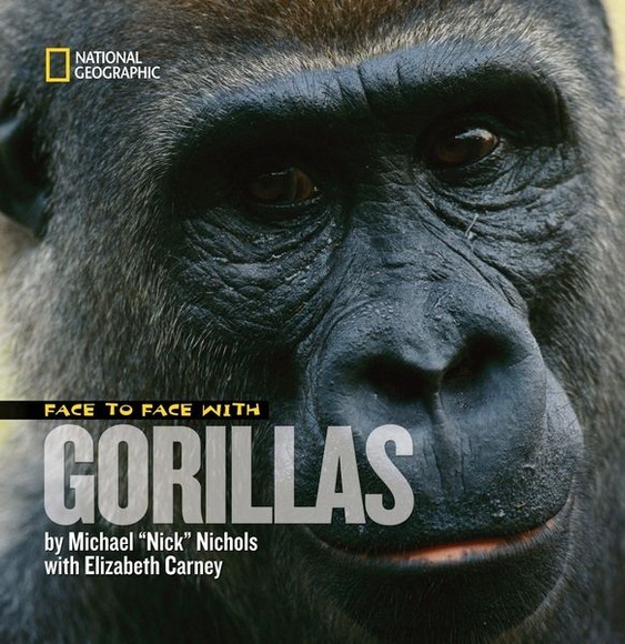 Face To Face W/gorillas