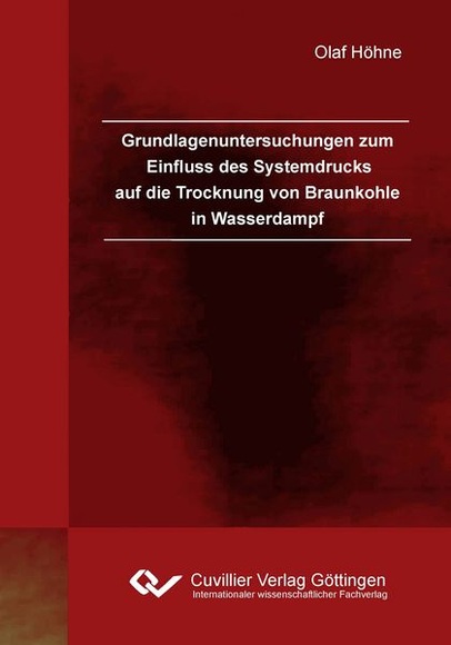 Grundlagenuntersuchungen zum Einfluss des Systemdrucks auf die Trocknung von Braunkohle in Wasserdampf