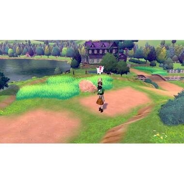 Nintendo NSW - Pokémon Schild Box