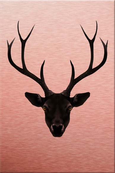 Alu-Dibond-Druck »Ireland - The Black Deer - Schwarzer Hirsch«