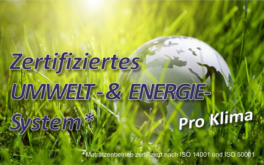 Microfaserbettdecke »Microlux«, 4-Jahreszeiten, Füllung 3D-Klimafaser, Bezug Microfaser-Feinbatist samtweich, (1 St.), bunte Bettdecke in 135x200 cm und weiteren Grössen, Sommer oder Winter