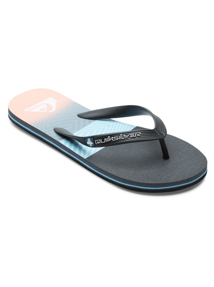 Quiksilver Sandale »Molokai Panel«