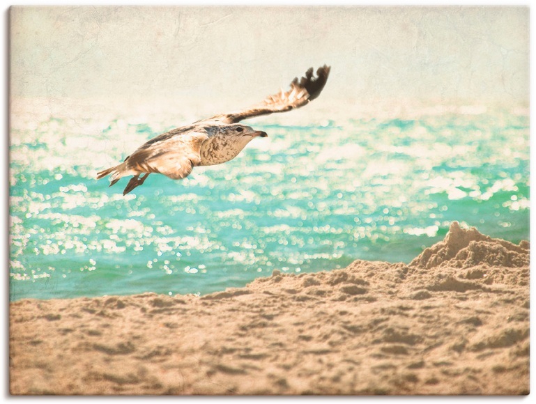 Artland Wandbild »Der Flug der Möwe«