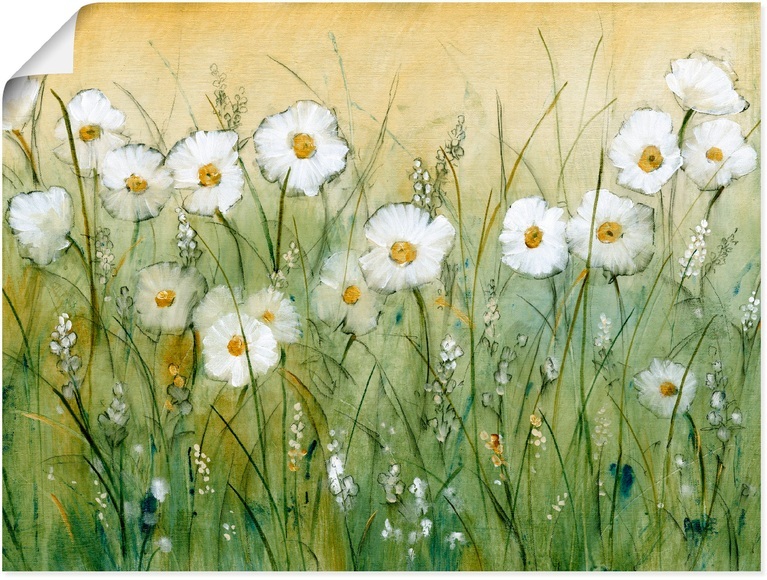 Artland Wandbild »Gänseblümchenfrühling II«