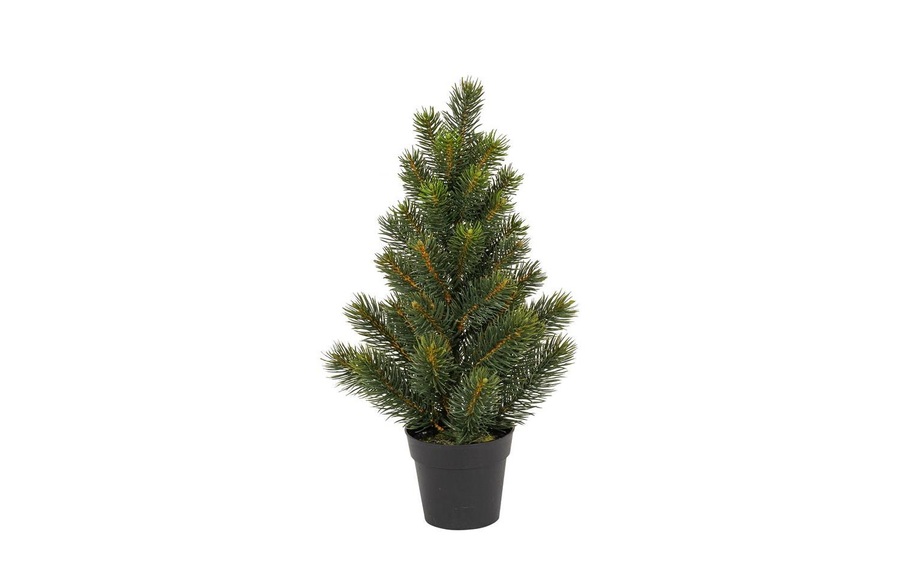 Botanic Haus - Botanic-Haus - Weihnachtsbaum Tannenbaum im Topf, 41 cm