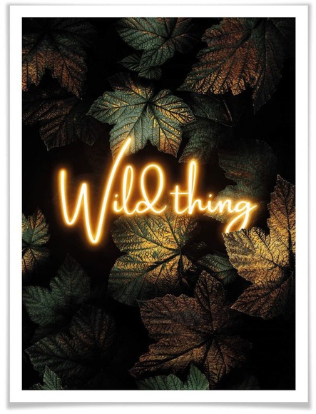 Wall-Art Poster »Wild Thing«, Schriftzug, (1 St.)