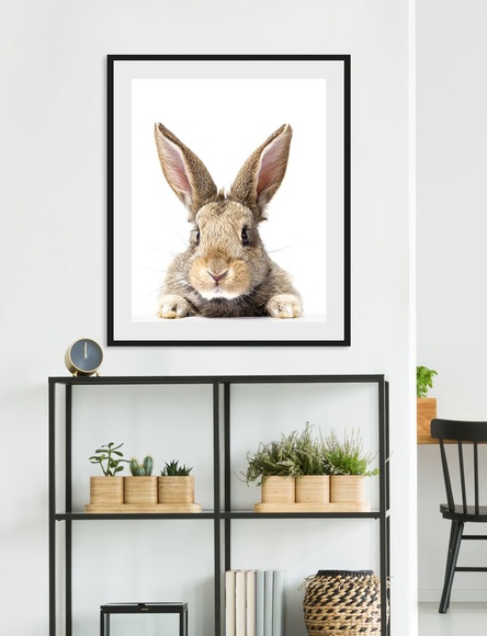 queence Bild »Joona«, Hase, (1 St.)