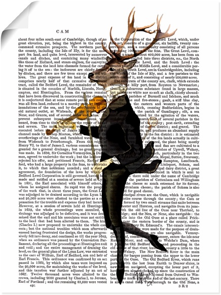 Artland Wandbild »Tanzender Hirsch mit Violine«