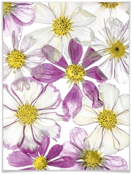 Wall-Art Poster »Keeping Summer«, Schriftzug, (1 St.)