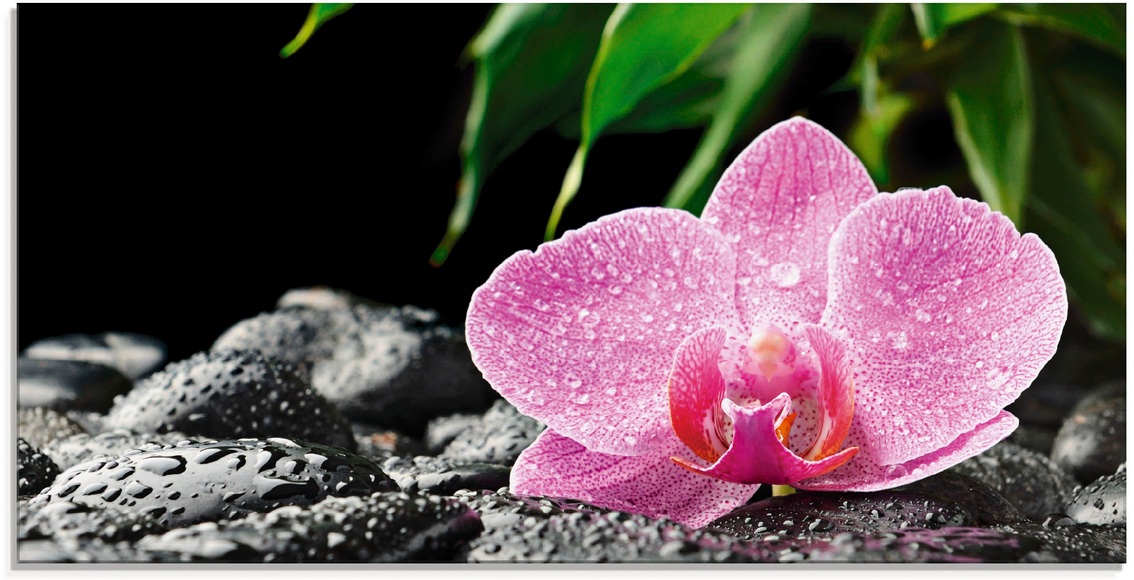 Artland Glasbild »Rosa Orchidee auf schwarzen Zen Steinen«