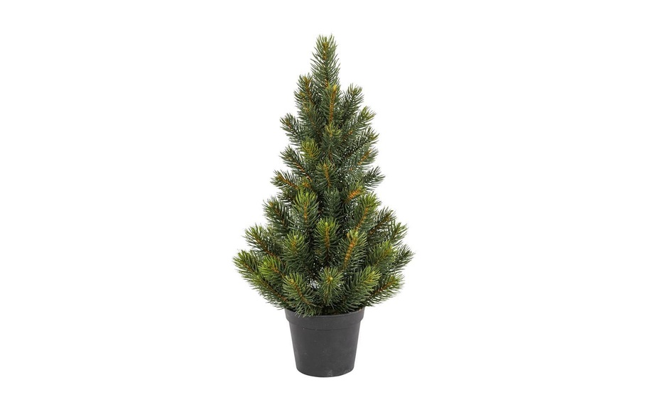 Botanic Haus - Botanic-Haus - Weihnachtsbaum Tannenbaum im Topf, 51 cm
