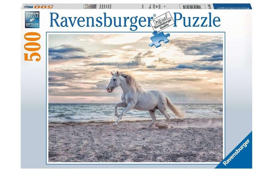 Pferd am Strand