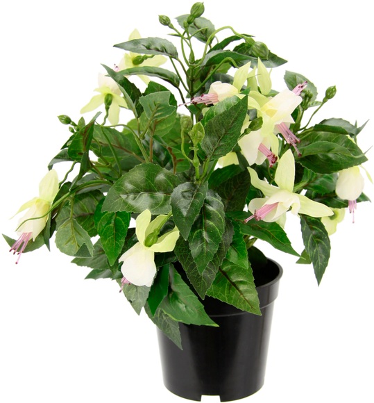 I.GE.A. Kunstblume »Fuchsien«, Im Topf Zimmerpflanze Deko Doppelblütenblätter Topfpflanze Hybrid Hort