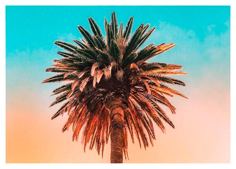 Komar Poster »Palm Tree«