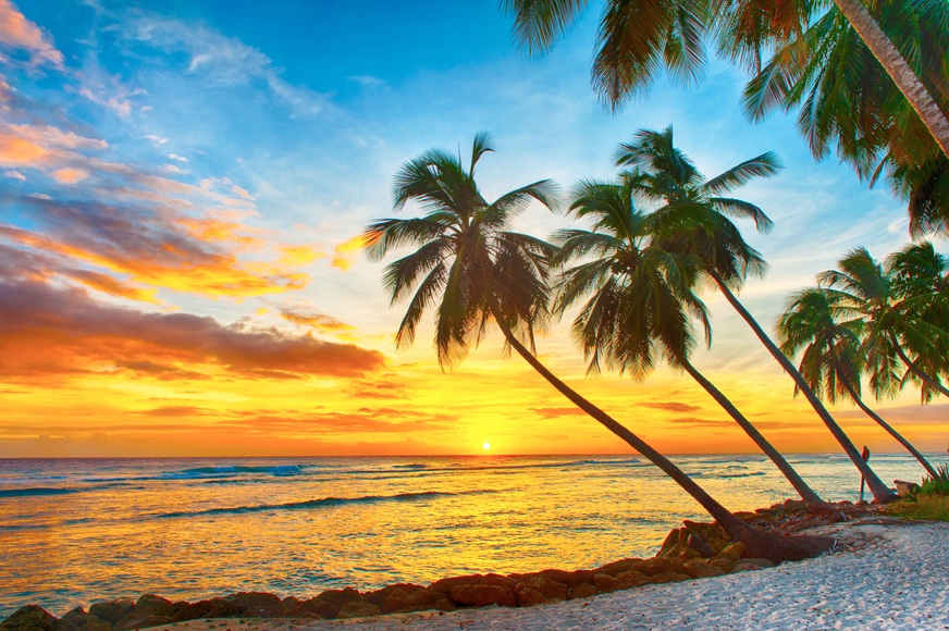 Papermoon Fototapete »Barbados Palm Beach«