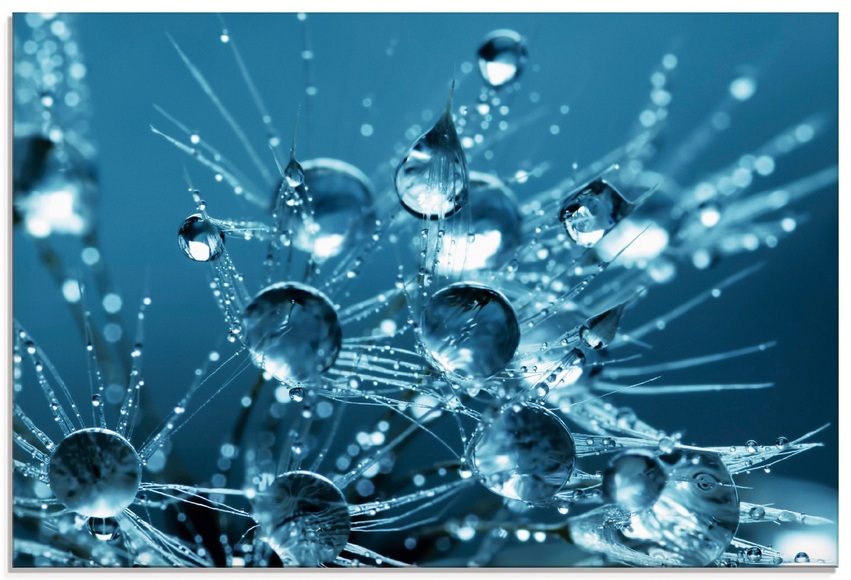 Artland Glasbild »Glitzernde Pusteblume II«
