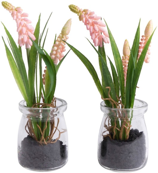 Botanic-Haus Kunstblume »Muscariarrangement im Glas«, (Set, 2 St.)