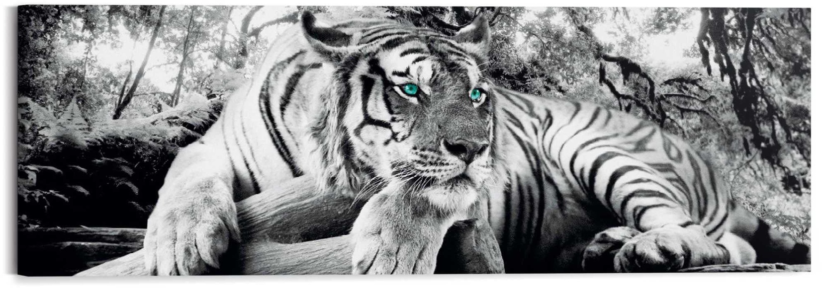 Wandbild »Tigerblick Wandbild Tiger - Raubtier - Wandbild Wohnzimmer - Wandbild«