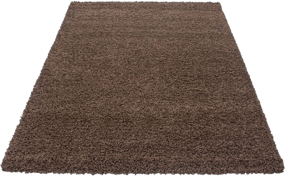 Ayyildiz Teppiche Hochflor-Teppich »Dream Shaggy«, rechteckig, Wohnzimmer