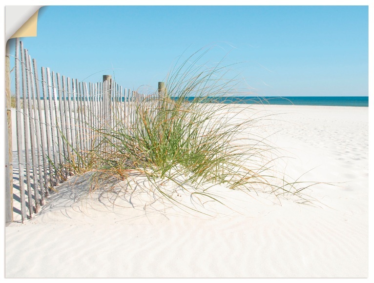 Artland Wandbild »Schöne Sanddüne mit Gräsern und Zaun«