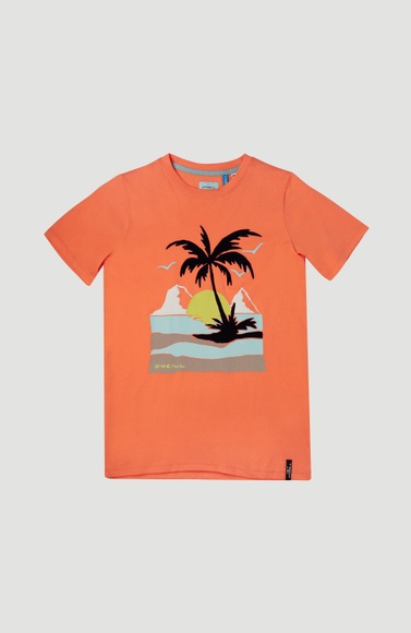 O'Neill T-Shirt »