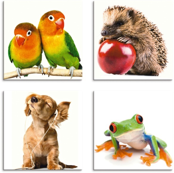 Artland Leinwandbild »Grauköpfchen Igel Hund Frosch«