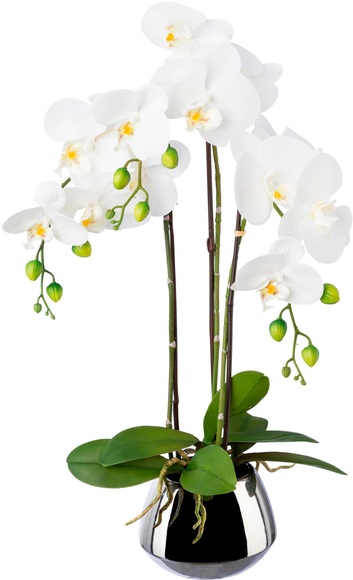 Creativ green Kunstorchidee »Phalaenopsis im Silberfarbentopf«, (1 St.), mit Real-Touch-Blüten