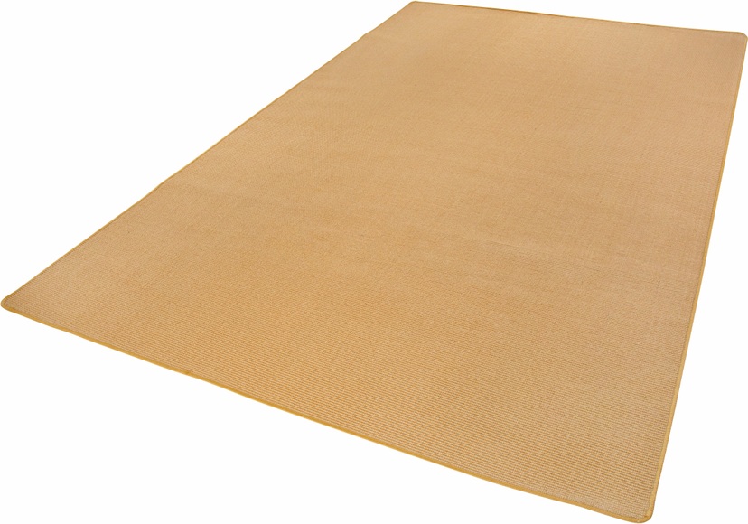 Sisalteppich, »Sisal«, Andiamo, rechteckig, Höhe 5 mm, maschinell gewebt