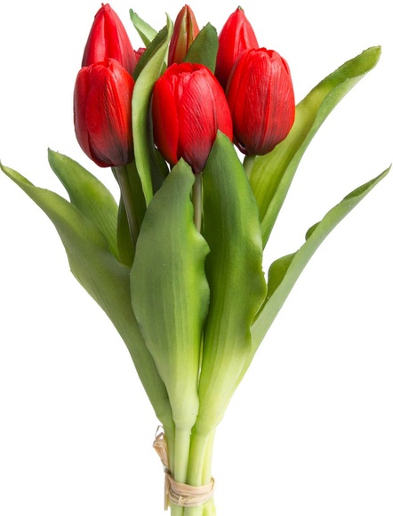 DELAVITA Kunstblume »Willa«, (Set, 7 St.), Tulpenbündel im 7er-Set