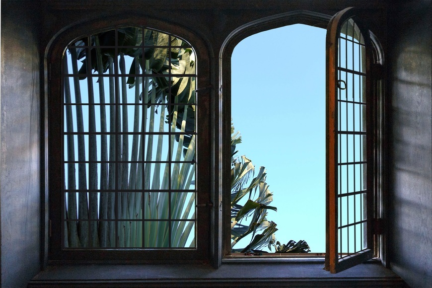 queence Wandsticker »Palme«